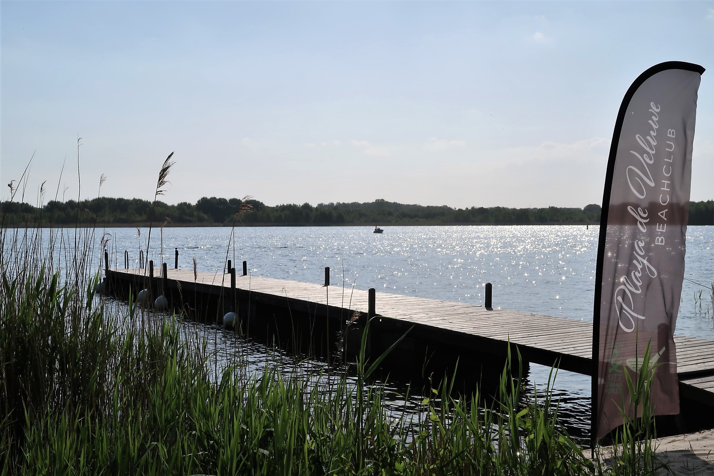 VIEW STEIGER P&P GESPIEGELD